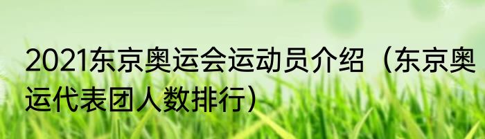 2021东京奥运会运动员介绍（东京奥运代表团人数排行）