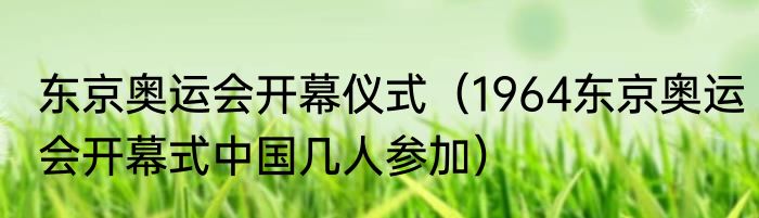 东京奥运会开幕仪式（1964东京奥运会开幕式中国几人参加）