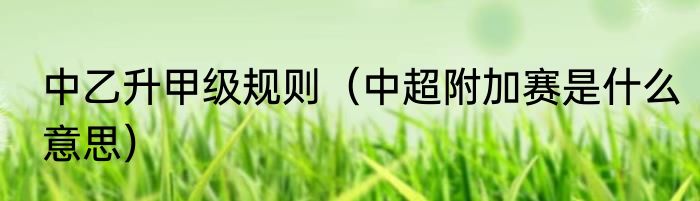 中乙升甲级规则（中超附加赛是什么意思）