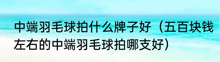 中端羽毛球拍什么牌子好（五百块钱左右的中端羽毛球拍哪支好）
