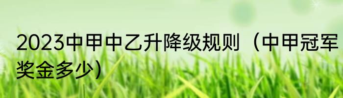 2023中甲中乙升降级规则（中甲冠军奖金多少）