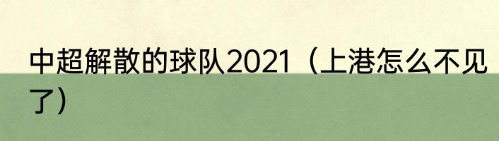 中超解散的球队2021（上港怎么不见了）