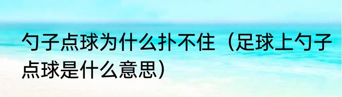 勺子点球为什么扑不住（足球上勺子点球是什么意思）