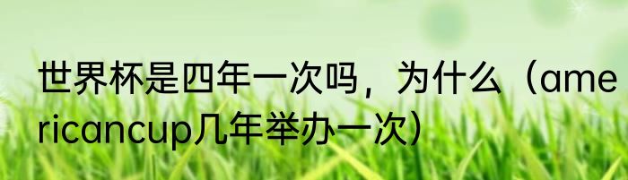 世界杯是四年一次吗，为什么（americancup几年举办一次）