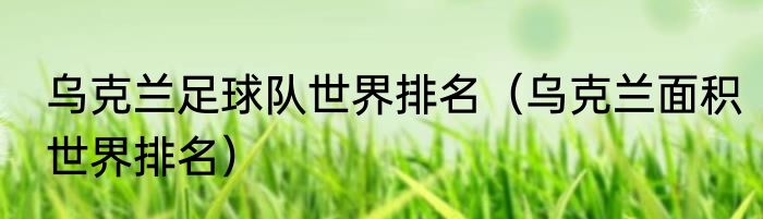 乌克兰足球队世界排名（乌克兰面积世界排名）