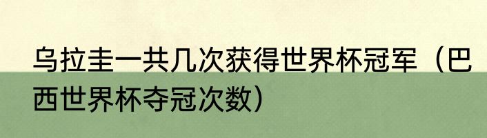乌拉圭一共几次获得世界杯冠军（巴西世界杯夺冠次数）