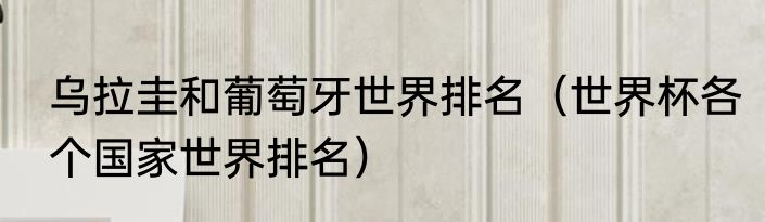 乌拉圭和葡萄牙世界排名（世界杯各个国家世界排名）