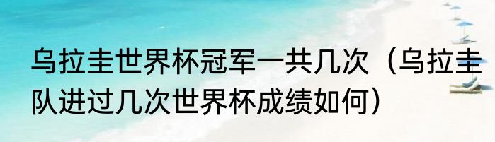 乌拉圭世界杯冠军一共几次（乌拉圭队进过几次世界杯成绩如何）