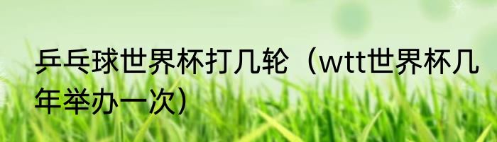 乒乓球世界杯打几轮（wtt世界杯几年举办一次）