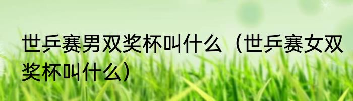 世乒赛男双奖杯叫什么（世乒赛女双奖杯叫什么）