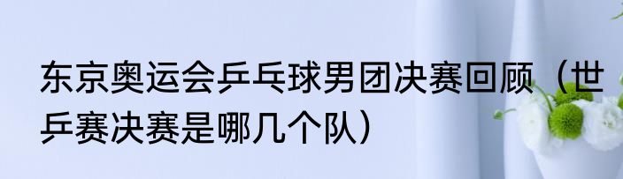 东京奥运会乒乓球男团决赛回顾（世乒赛决赛是哪几个队）