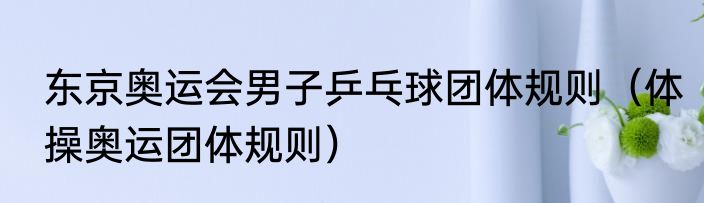 东京奥运会男子乒乓球团体规则（体操奥运团体规则）