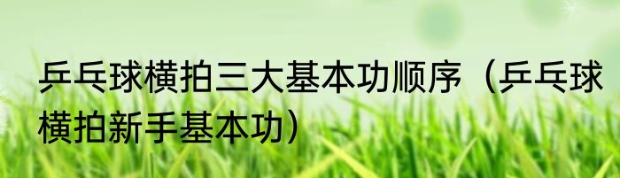 乒乓球横拍三大基本功顺序（乒乓球横拍新手基本功）