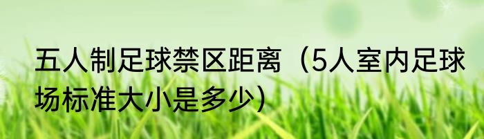 五人制足球禁区距离（5人室内足球场标准大小是多少）