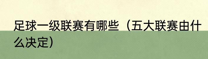 足球一级联赛有哪些（五大联赛由什么决定）
