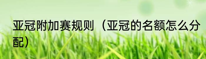 亚冠附加赛规则（亚冠的名额怎么分配）