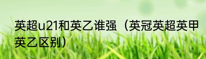 英超u21和英乙谁强（英冠英超英甲英乙区别）