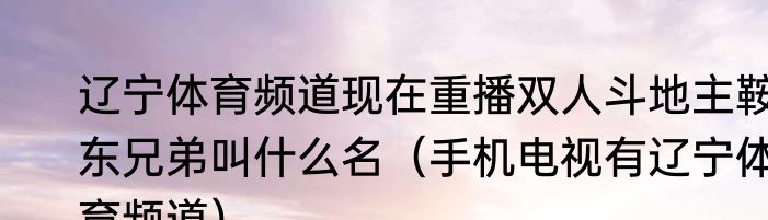 辽宁体育频道现在重播双人斗地主鞍东兄弟叫什么名（手机电视有辽宁体育频道）