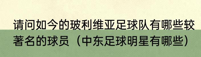 请问如今的玻利维亚足球队有哪些较著名的球员（中东足球明星有哪些）