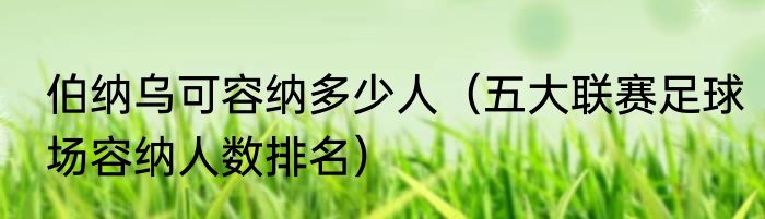 伯纳乌可容纳多少人（五大联赛足球场容纳人数排名）