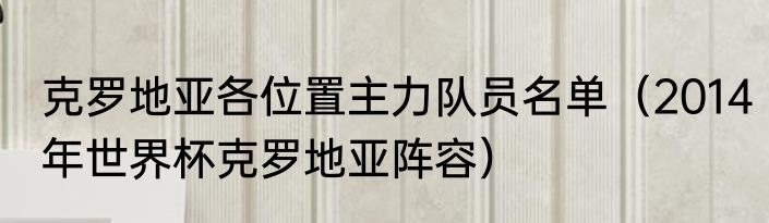 克罗地亚各位置主力队员名单（2014年世界杯克罗地亚阵容）