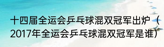 十四届全运会乒乓球混双冠军出炉（2017年全运会乒乓球混双冠军是谁）