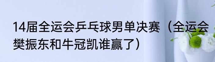 14届全运会乒乓球男单决赛（全运会樊振东和牛冠凯谁赢了）