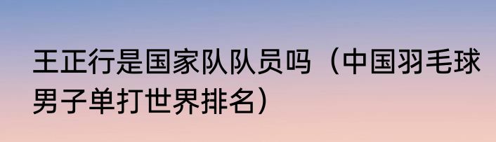 王正行是国家队队员吗（中国羽毛球男子单打世界排名）