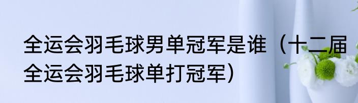 全运会羽毛球男单冠军是谁（十二届全运会羽毛球单打冠军）