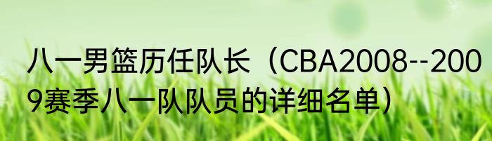 八一男篮历任队长（CBA2008--2009赛季八一队队员的详细名单）