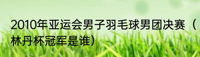 2010年亚运会男子羽毛球男团决赛（林丹杯冠军是谁）