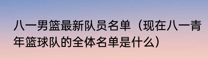 八一男篮最新队员名单（现在八一青年篮球队的全体名单是什么）
