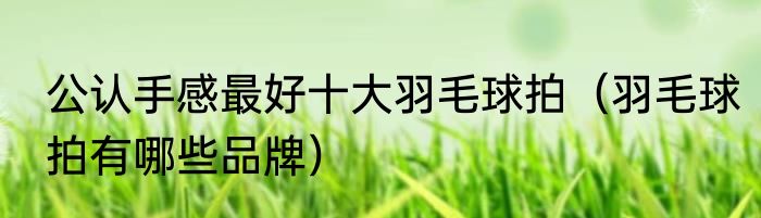 公认手感最好十大羽毛球拍（羽毛球拍有哪些品牌）