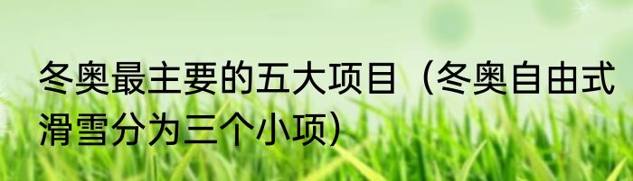 冬奥最主要的五大项目（冬奥自由式滑雪分为三个小项）