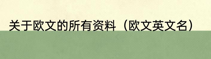 关于欧文的所有资料（欧文英文名）