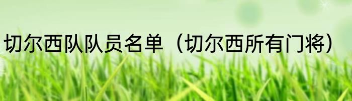 切尔西队队员名单（切尔西所有门将）