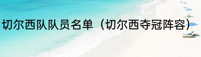 切尔西队队员名单（切尔西夺冠阵容）