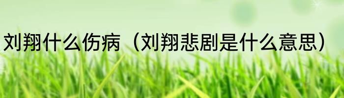 刘翔什么伤病（刘翔悲剧是什么意思）