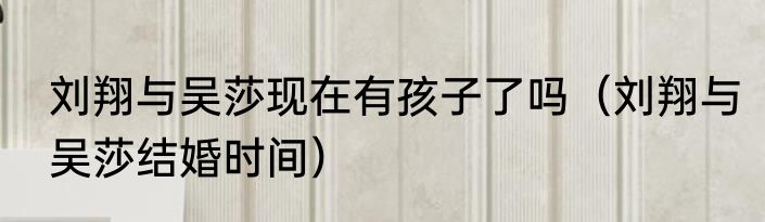 刘翔与吴莎现在有孩子了吗（刘翔与吴莎结婚时间）