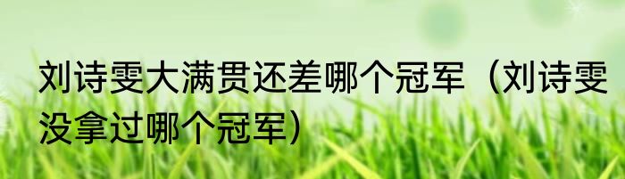 刘诗雯大满贯还差哪个冠军（刘诗雯没拿过哪个冠军）