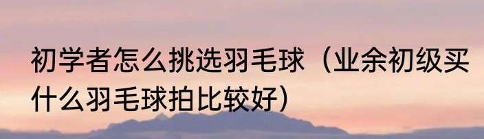 初学者怎么挑选羽毛球（业余初级买什么羽毛球拍比较好）