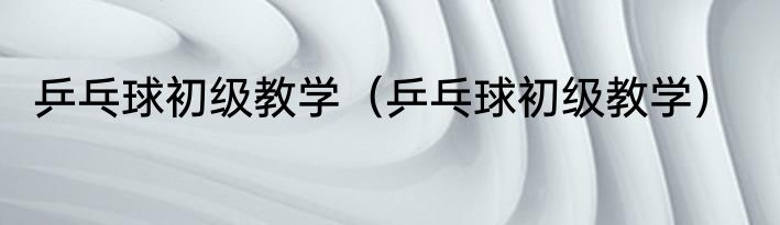 乒乓球初级教学（乒乓球初级教学）
