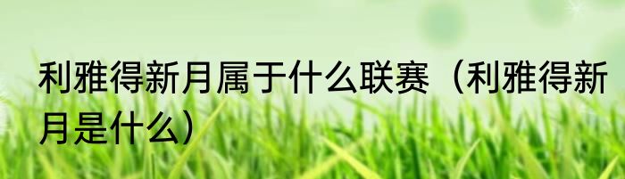 利雅得新月属于什么联赛（利雅得新月是什么）