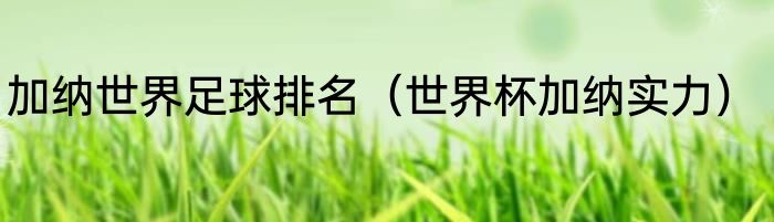 加纳世界足球排名（世界杯加纳实力）