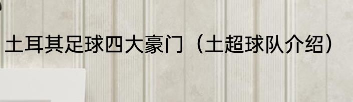 土耳其足球四大豪门（土超球队介绍）