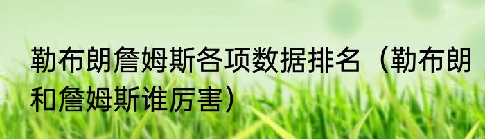 勒布朗詹姆斯各项数据排名（勒布朗和詹姆斯谁厉害）