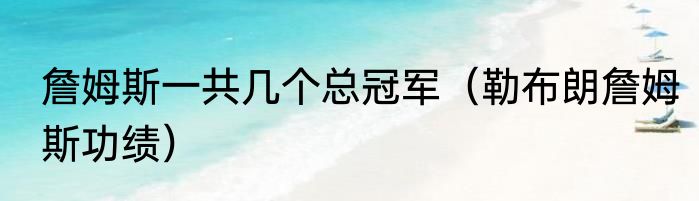 詹姆斯一共几个总冠军（勒布朗詹姆斯功绩）