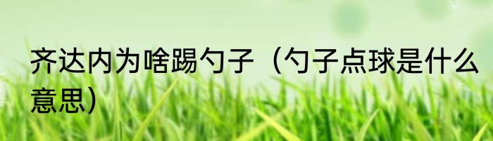 齐达内为啥踢勺子（勺子点球是什么意思）