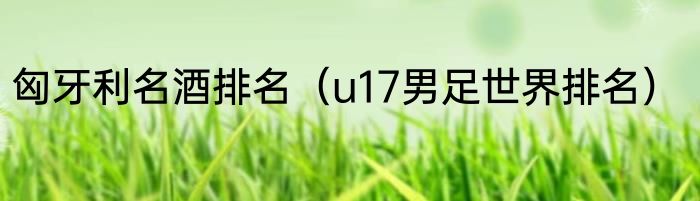 匈牙利名酒排名（u17男足世界排名）