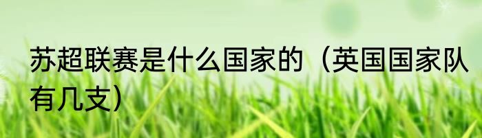 苏超联赛是什么国家的（英国国家队有几支）
